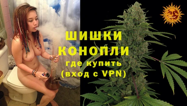 первитин Осинники