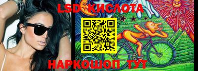 spice Тара