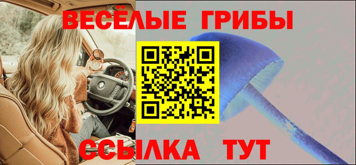 как найти закладки  Псилоцибиновые грибы прущие грибы  Самара  Вход с VPN  Псилоцибиновые грибы Psilocybine cubensis 